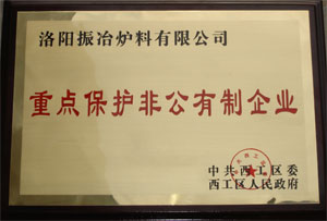 重點保護非公有制企業